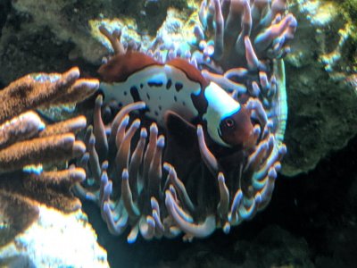 IMG_20190819_161059.jpg