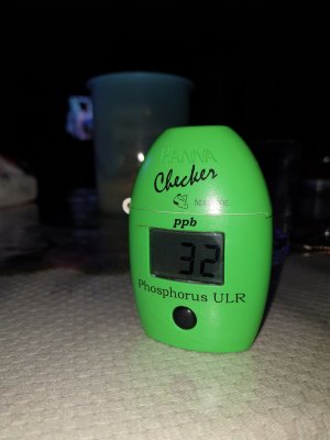 20190819_213017.jpg