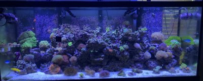 Main Tank.jpg