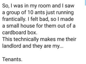 ants.jpeg
