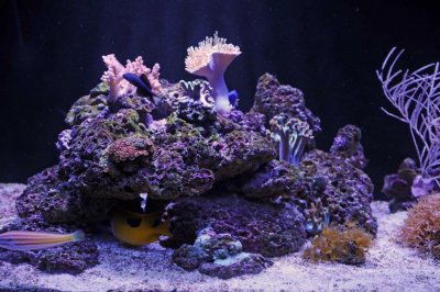 DSC_4372_0229_edited-1.jpg