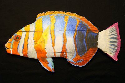 1900911 - HarlequinTuskfish2.jpg