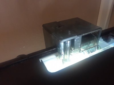 20190904_205010.jpg
