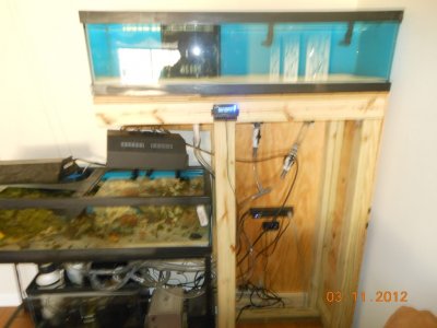 DSCN0711.JPG