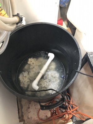 10E02962-5EDD-4928-9514-F98291751B45.jpeg 10E02962-5EDD-4928-9514-F98291751B45.jpeg