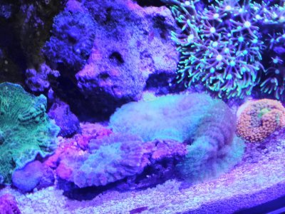 IMG_20190928_173416.jpg