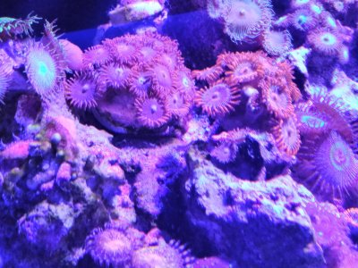 IMG_20190928_173401.jpg