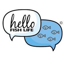 fish life.jpg