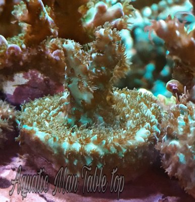 PicsArt_10-07-04.31.13.jpg