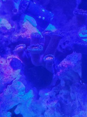 20191008_213347.jpg