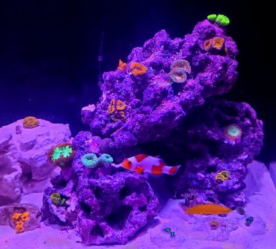20191013_185726.jpg
