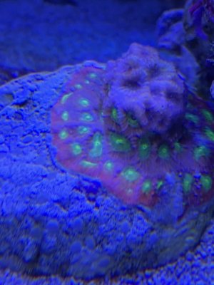 787B2854-0728-46B0-AF0A-0974B2CC82A0.jpeg