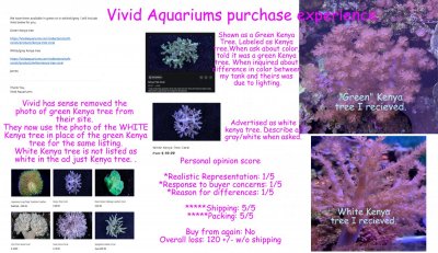 Vivid aquarium Review.jpg