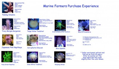 Marine Farmer's review.jpg