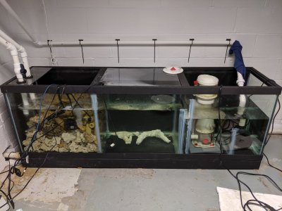 diy sump for 125 gallon tank