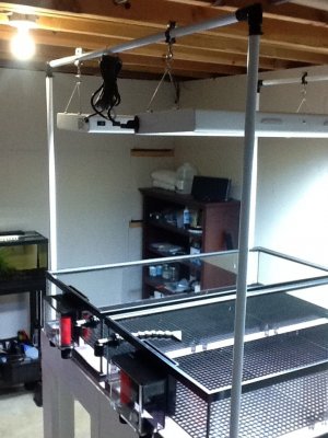 IMG_1718.JPG IMG_1718.JPG