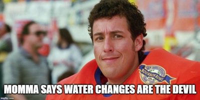 water change meme.jpg
