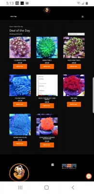 Screenshot_20191120-171359_Chrome.jpg