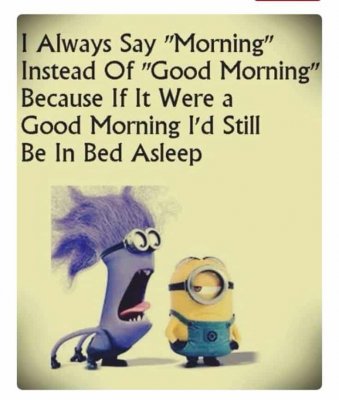 59-Funny-Minions-Picture-Quotes-Funny-Memes-5.jpg