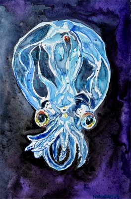 googly eyed squid.jpg
