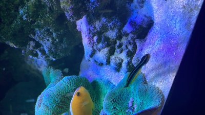 478D6C10-B56A-428C-B82C-31BC3D2764B0.jpeg
