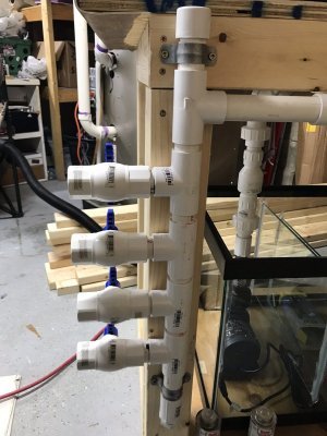 AC33B01A-9637-49E9-9148-BDBF37DB365E.jpeg AC33B01A-9637-49E9-9148-BDBF37DB365E.jpeg