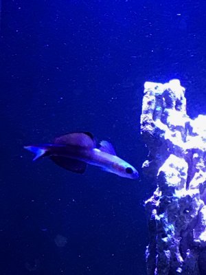 IMG_9395.jpg