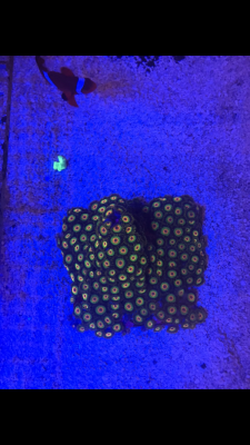 1630664F-FF43-401E-BE8C-90B0C9D767B1.png 1630664F-FF43-401E-BE8C-90B0C9D767B1.png
