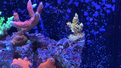 2A3D604C-5930-4B15-85A6-0518167B5B53.jpeg