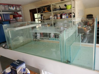 sump2.jpg sump2.jpg