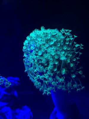 C3644A33-D885-4767-8F90-492DF316BF24.jpeg