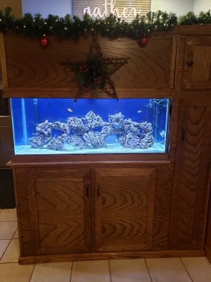 Roast This Diy Canister Filter Idea Reef2reef Saler And Reef Aquarium Forum - Diy Canister Filter Reddit Roast This Diy Canister Filter Idea Reef2reef Saler And Reef Aquarium Forum - Diy Canister Filter Reddit