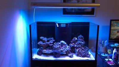 2012-01-03_14-09-04_603.jpg