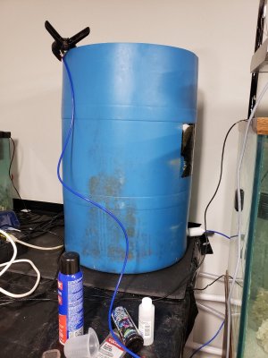 spray bucket.jpg spray bucket.jpg