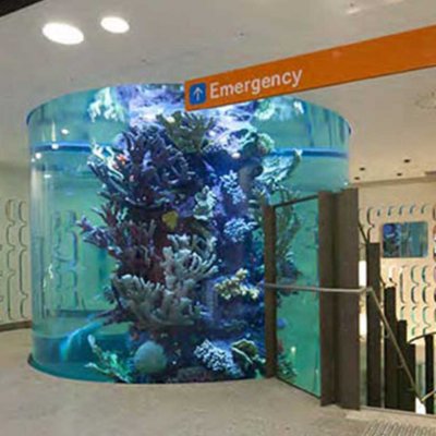 royal-childrens-hospital-aquarium4.jpg