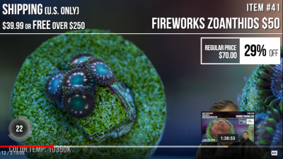 FireworksZoa.png