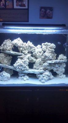 65 g seeding of tank.jpg