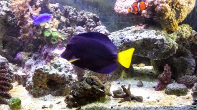 20131007_095457.jpg