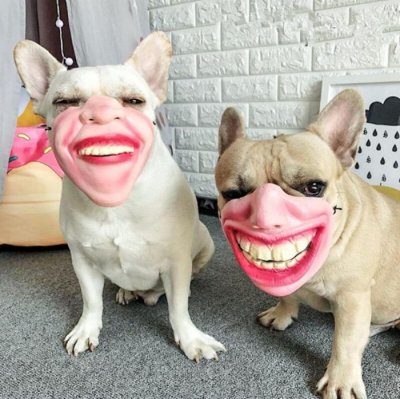 dont-buy-these-amazon-dog-masks-unless-you-want-nightmares-for-the-rest-of-your-life-8.jpg