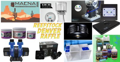 RAFFLE-1.jpg RAFFLE-1.jpg