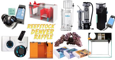 Raffle-2.jpg Raffle-2.jpg