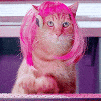 CatPinkHair.gif