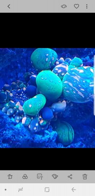 Screenshot_20190302-120957_Gallery.jpg