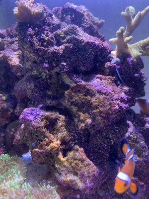 IMG_2810.jpeg IMG_2810.jpeg