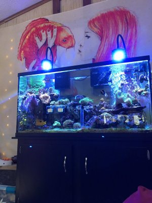 D3501081-3FC8-44CE-85CD-035583BCFA27.jpeg D3501081-3FC8-44CE-85CD-035583BCFA27.jpeg