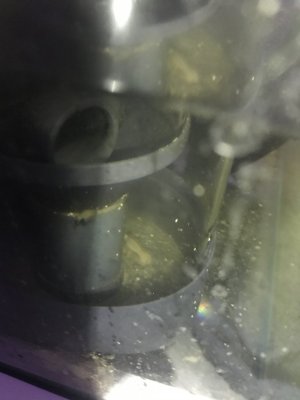 CAE915BF-CEDA-4EEB-90E9-B234C9E5BC3C.jpeg