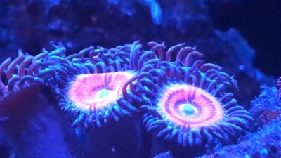 54C07C1D-D671-45EE-A78E-0C3FFD7478F7.jpeg