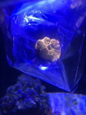 8B5E0357-7952-4814-AAD1-C52720E75622.jpeg
