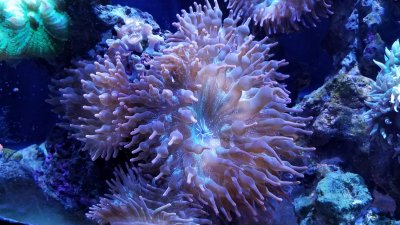 E2FC4F77-7D6A-443C-9019-D1A52FB74F97.jpeg E2FC4F77-7D6A-443C-9019-D1A52FB74F97.jpeg
