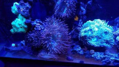 E73EEDE0-4C06-46B7-8293-9A1EF56784F0.jpeg E73EEDE0-4C06-46B7-8293-9A1EF56784F0.jpeg